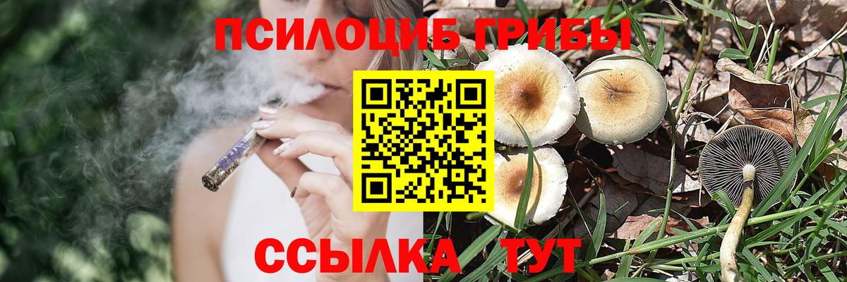 Псилоцибиновые грибы GOLDEN TEACHER Ржев